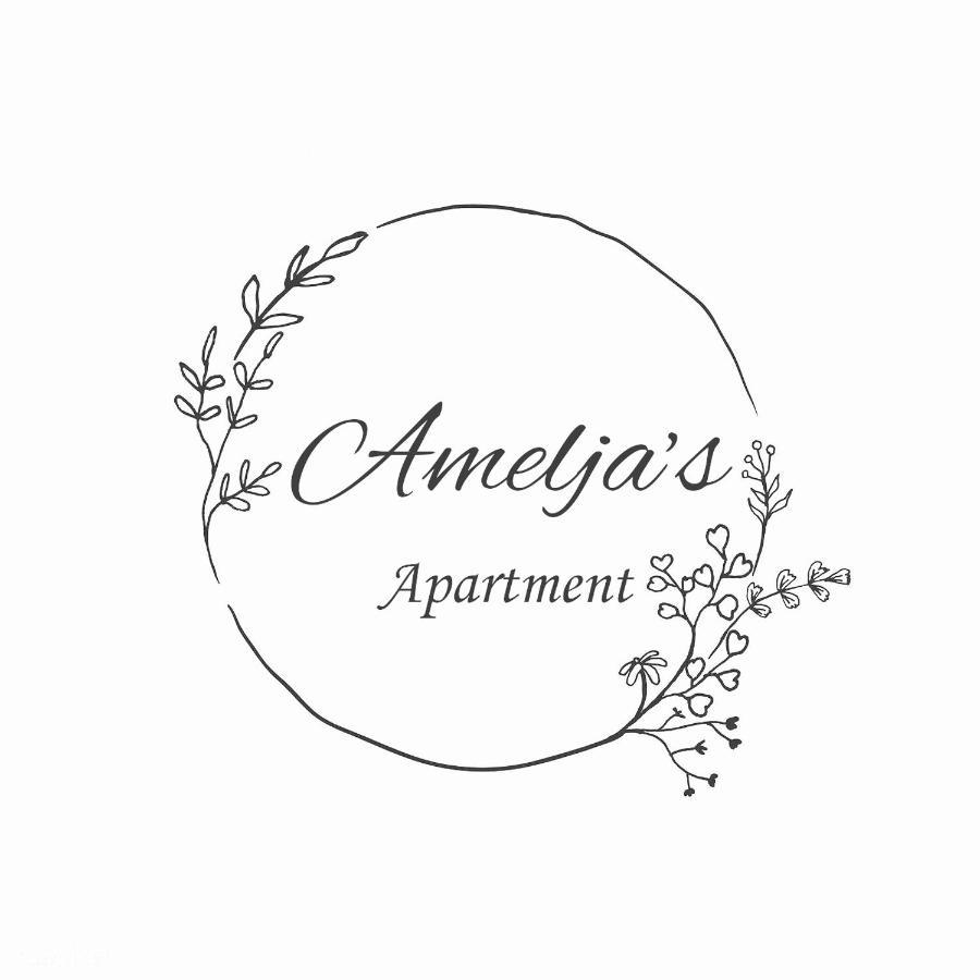 Amelja'S Apartment Szkodra Zewnętrze zdjęcie